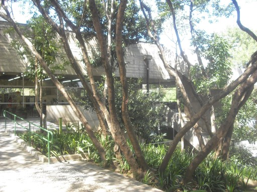 Sítio da Ressaca - Jabaquara