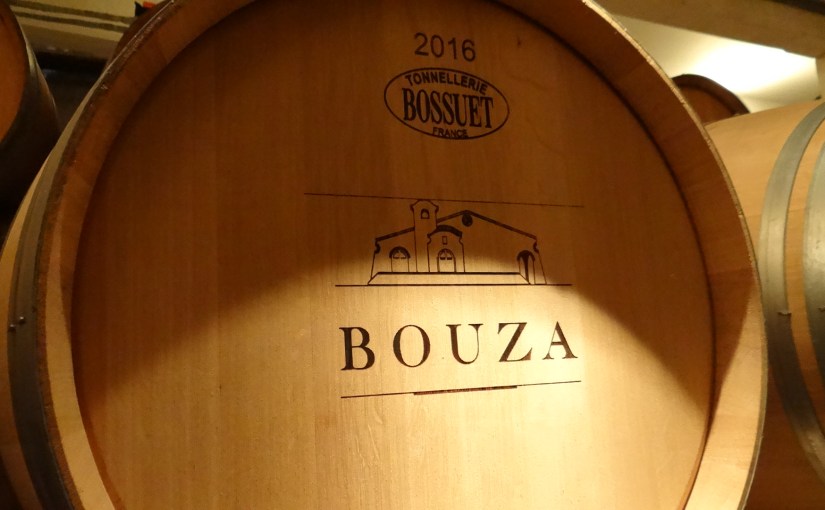 Montevideo para arquitetos&nbsp;(2017)