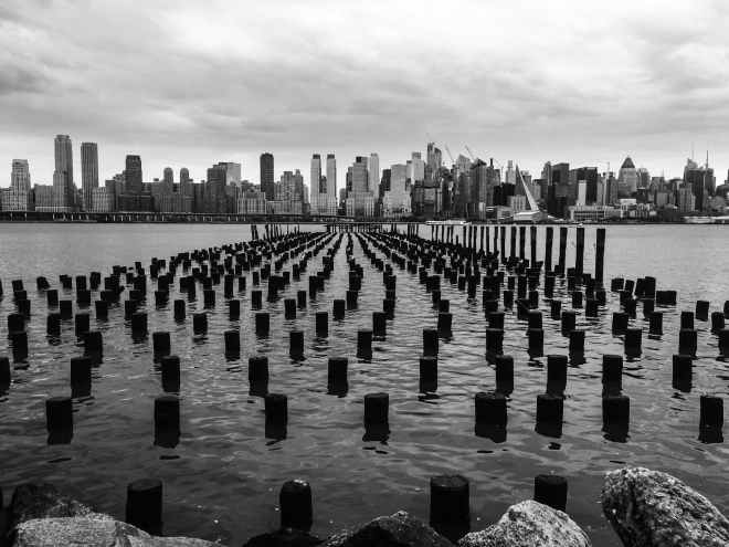 high rise buildings with logs in water
